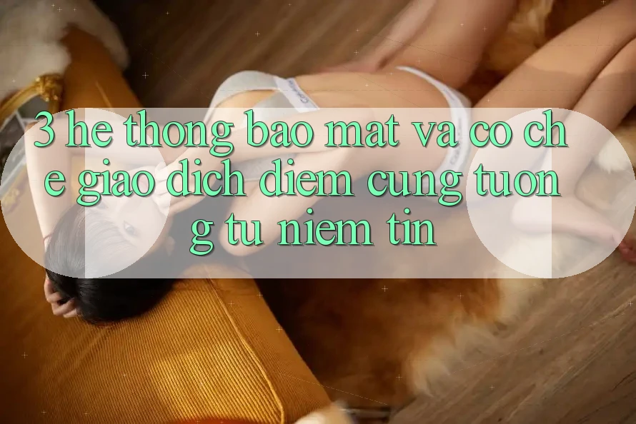 3. Hệ Thống Bảo Mật Và Cơ Chế Giao Dịch: Điểm Cũng tương tự Niềm Tin 3. Hệ Thống Bảo Mật Và Cơ Chế Giao Dịch: Điểm Cũng tương tự Niềm Tin