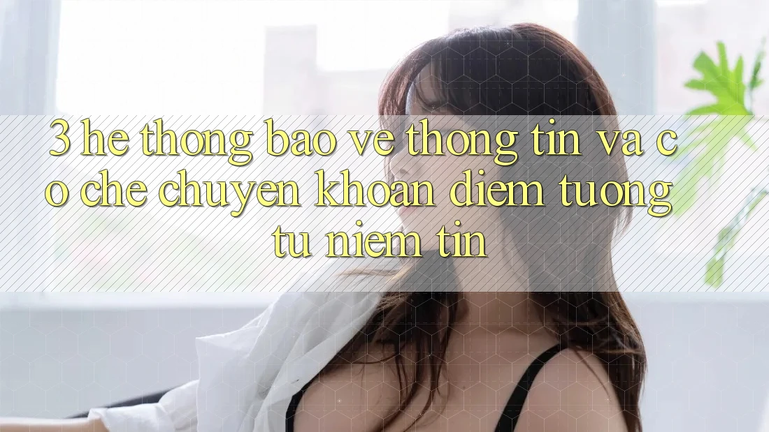 3. Hệ Thống Bảo vệ thông tin Và Cơ Chế Chuyển khoản: Điểm Tương tự Niềm Tin 3. Hệ Thống Bảo vệ thông tin Và Cơ Chế Chuyển khoản: Điểm Tương tự Niềm Tin