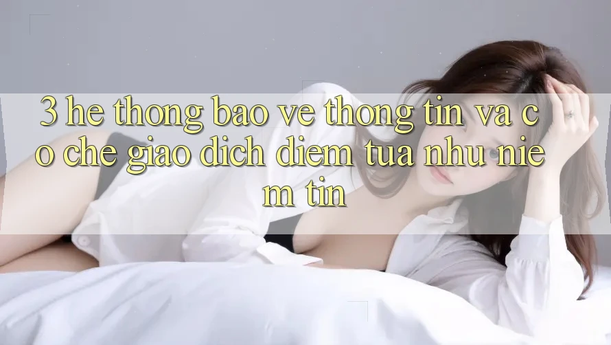 3. Hệ Thống Bảo vệ thông tin Và Cơ Chế Giao Dịch: Điểm Tựa như Niềm Tin
