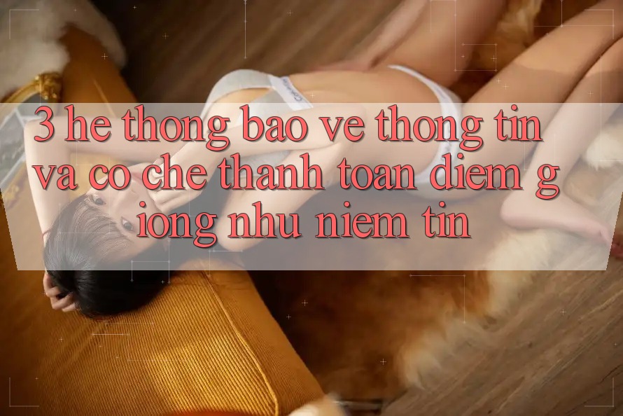3. Hệ Thống Bảo vệ thông tin Và Cơ Chế Thanh toán: Điểm Giống như Niềm Tin