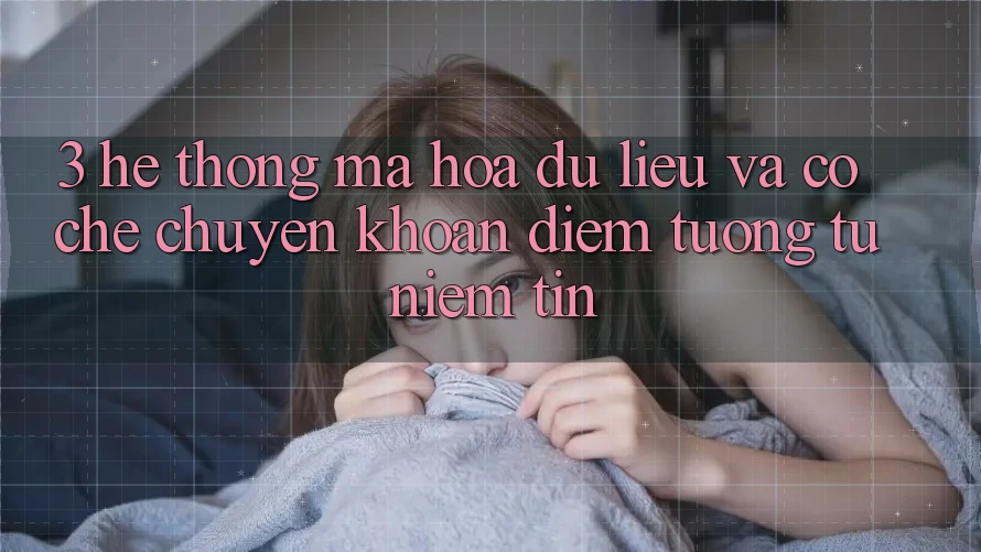 3. Hệ Thống Mã hóa dữ liệu Và Cơ Chế Chuyển khoản: Điểm Tương tự Niềm Tin 3. Hệ Thống Mã hóa dữ liệu Và Cơ Chế Chuyển khoản: Điểm Tương tự Niềm Tin