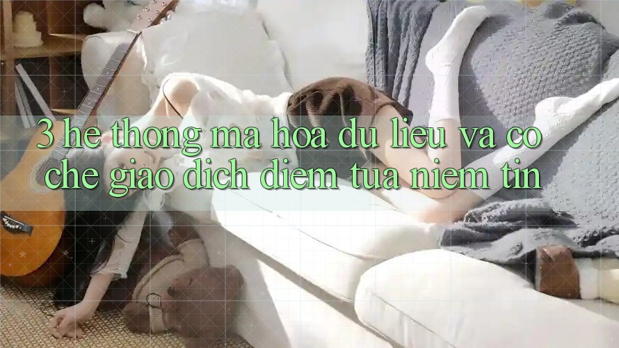 3. Hệ Thống Mã hóa dữ liệu Và Cơ Chế Giao Dịch: Điểm Tựa Niềm Tin