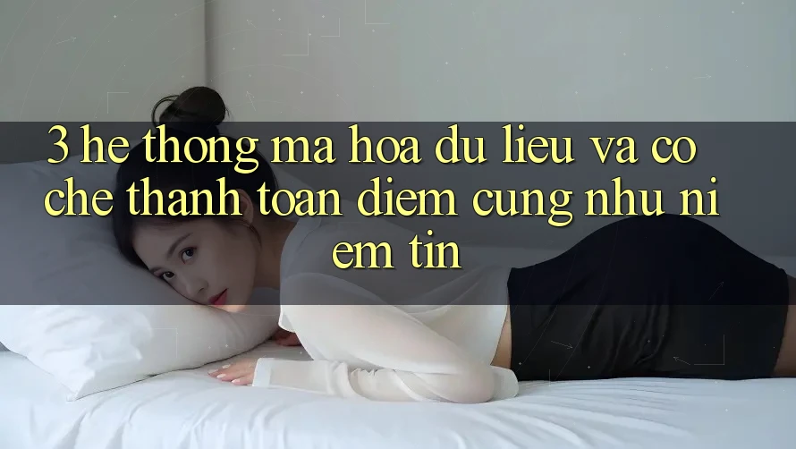 3. Hệ Thống Mã hóa dữ liệu Và Cơ Chế Thanh toán: Điểm Cũng như Niềm Tin