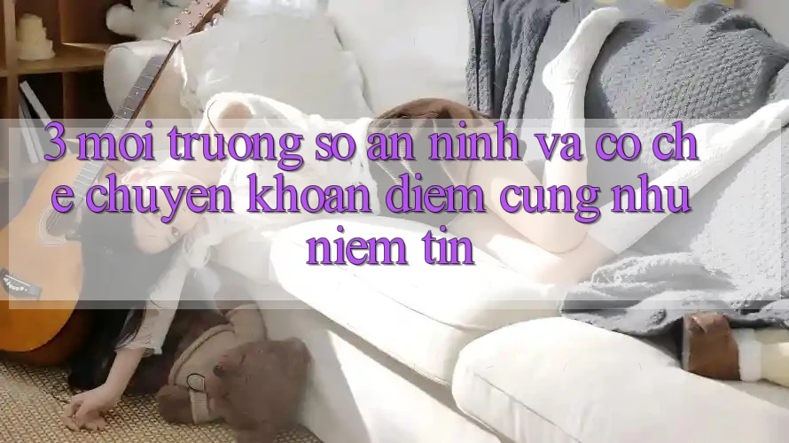 3. Môi trường số An ninh Và Cơ Chế Chuyển khoản: Điểm Cũng như Niềm Tin 3. Môi trường số An ninh Và Cơ Chế Chuyển khoản: Điểm Cũng như Niềm Tin