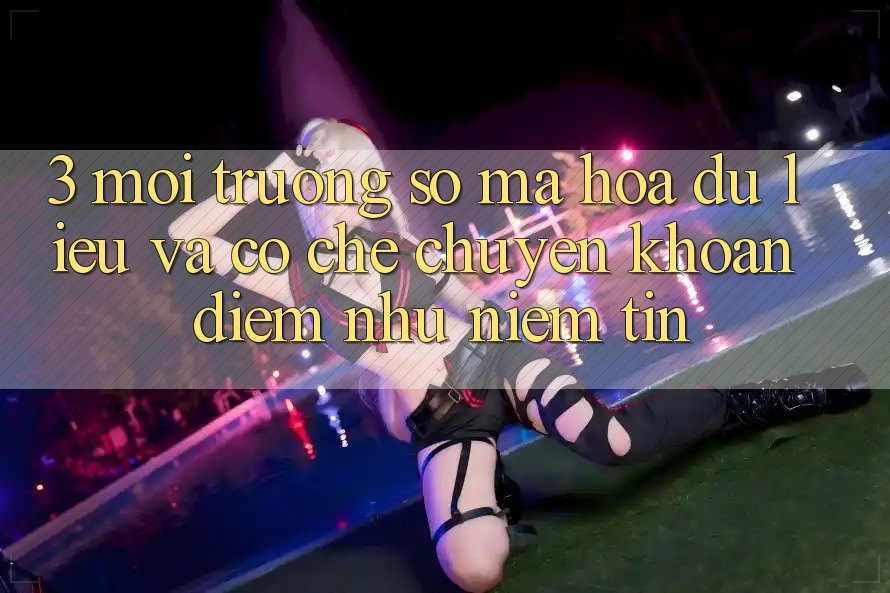 3. Môi trường số Mã hóa dữ liệu Và Cơ Chế Chuyển khoản: Điểm Như Niềm Tin 3. Môi trường số Mã hóa dữ liệu Và Cơ Chế Chuyển khoản: Điểm Như Niềm Tin