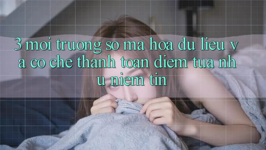 3. Môi trường số Mã hóa dữ liệu Và Cơ Chế Thanh toán: Điểm Tựa như Niềm Tin 3. Môi trường số Mã hóa dữ liệu Và Cơ Chế Thanh toán: Điểm Tựa như Niềm Tin