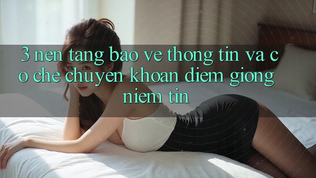 3. Nền tảng Bảo vệ thông tin Và Cơ Chế Chuyển khoản: Điểm Giống Niềm Tin 3. Nền tảng Bảo vệ thông tin Và Cơ Chế Chuyển khoản: Điểm Giống Niềm Tin