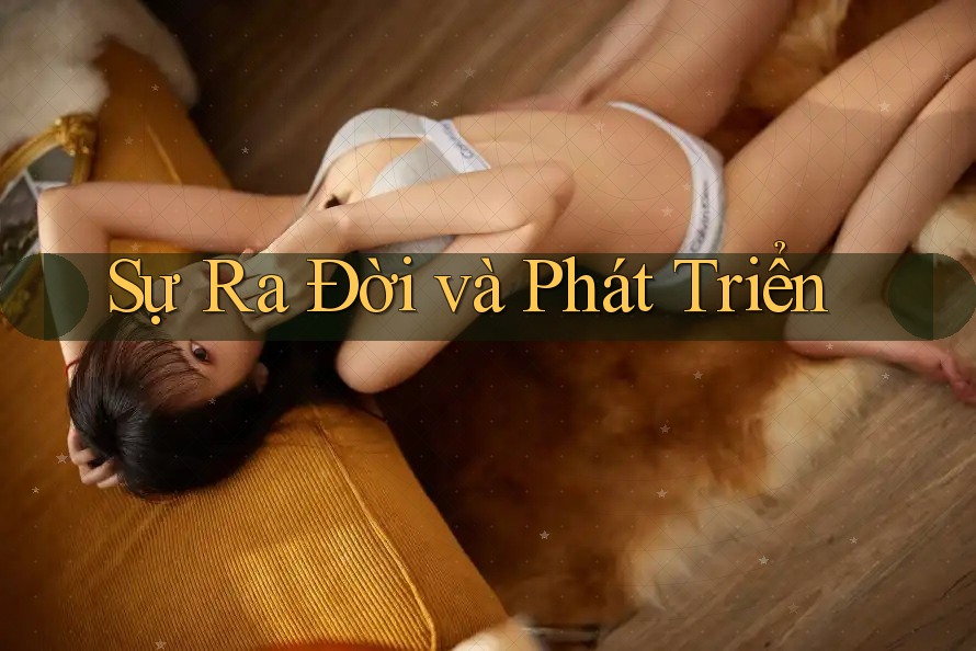 Sự ra đời và phát triển Sự ra đời và phát triển