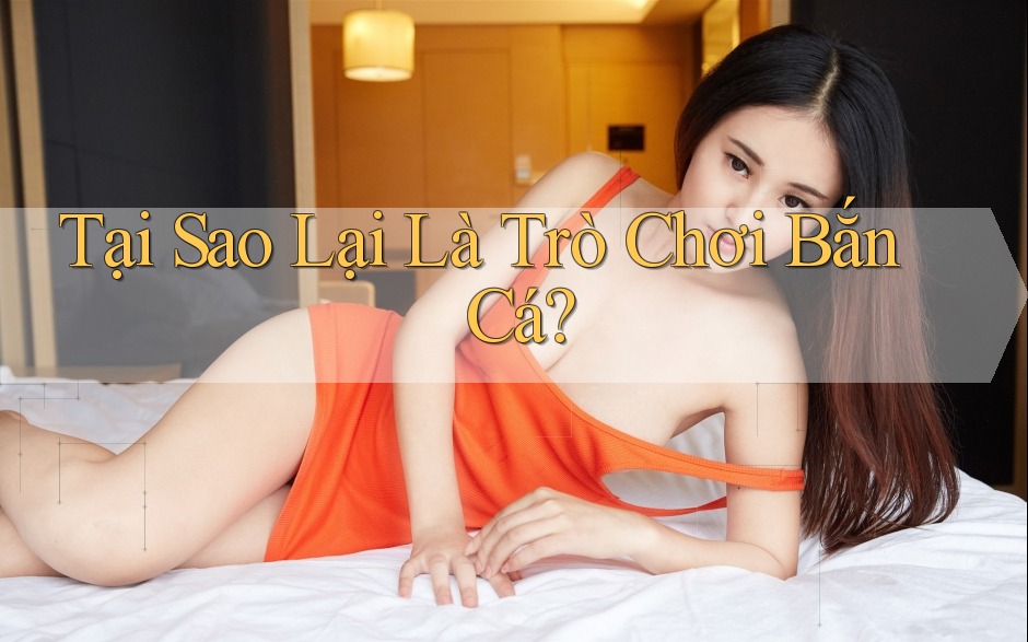 Tại Sao Lại Là Trò Chơi Bắn Cá? Tại Sao Lại Là Trò Chơi Bắn Cá?